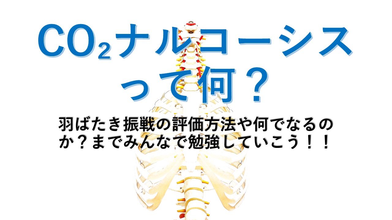 co2 ナルコーシス 羽ばたき 振 戦